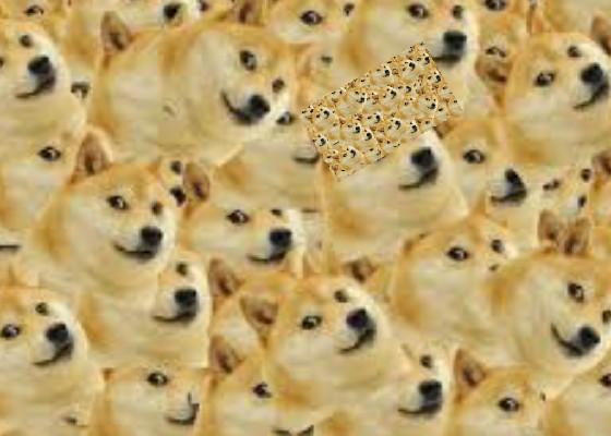 doge crowd spinner 1