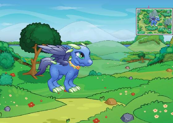 dragon pet