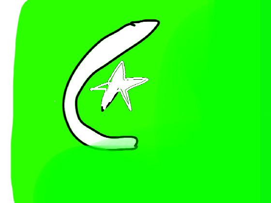 Pakistani Flag