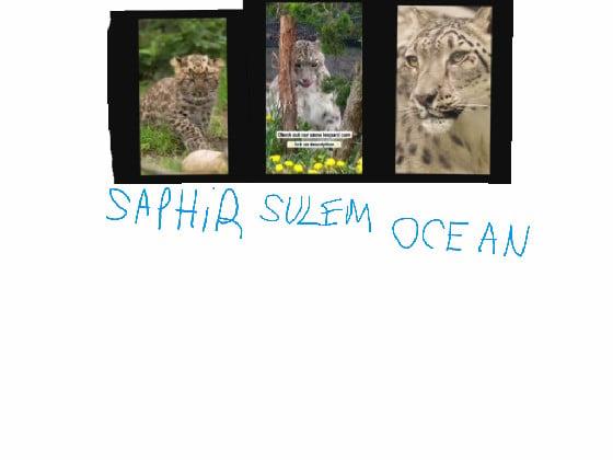 oceana and sulem and sapphire