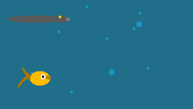 Fish + Eel