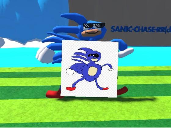 what are you doing sanic 😂