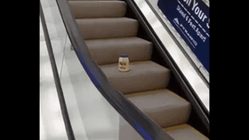 mayonnaise on an escalator