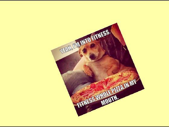 fitness pizza dog meme