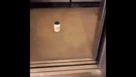 mayonnaise in an elevator