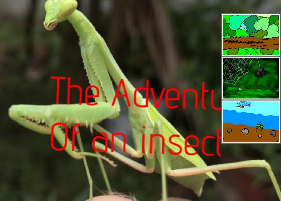 The adventures of an insect!