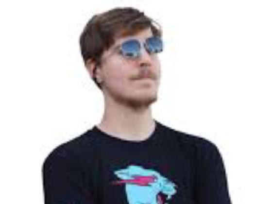 Mr BEAST