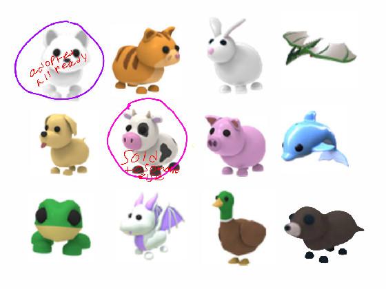 rea;pick your pet