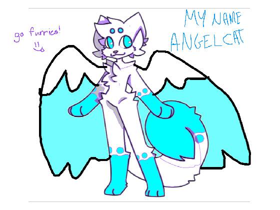 I a angelcat