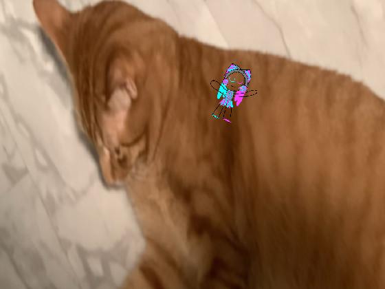 Add ur oc on my cat!!