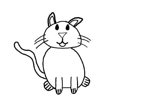 how to draw a cat