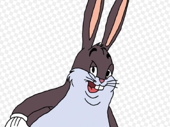 Cody Chungus