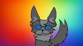 Gray Cat