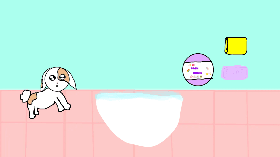 Give BunBun A Bath