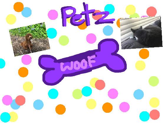 PETZ 1