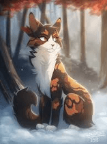 Warrior cats: whos ya fav?