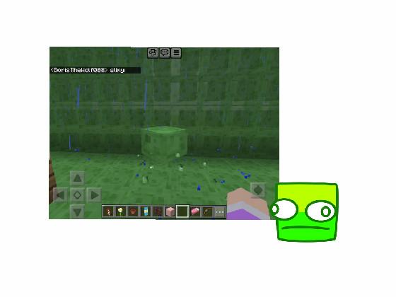 slimyentertainment in minecraft? 1