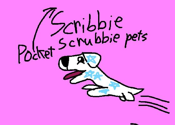 Pocket scribbie pets