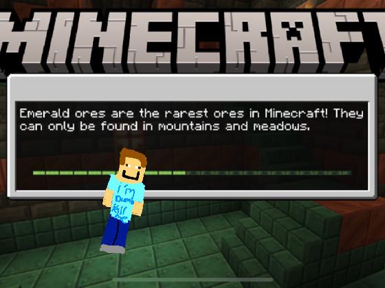 THE MINECRAFT QUIZ !!!! 1 1