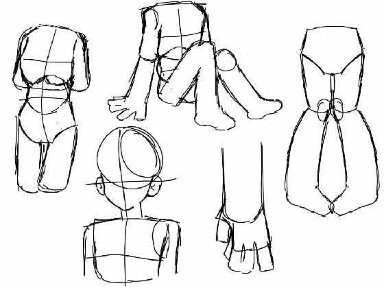 Anatomy practice 