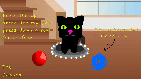 Virtual Cat named Cookie