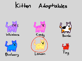 Kitten adoptables! 1