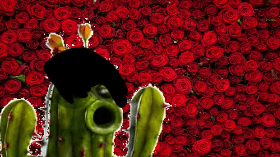 date with emo cactus