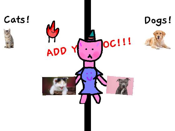 Cats VS Dogs 1