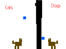 Cats vs. dogs