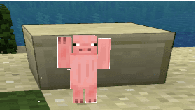 dancing pig