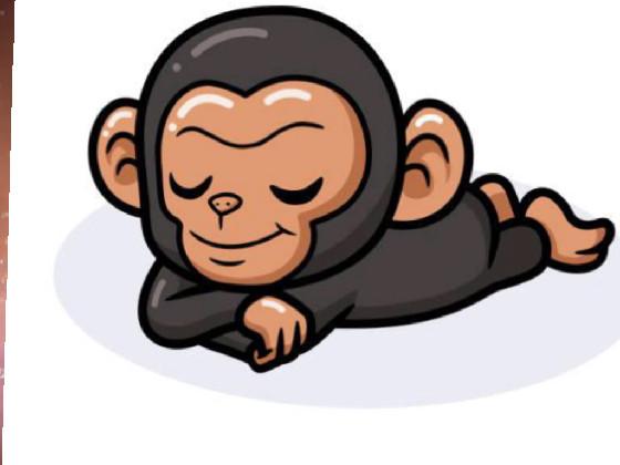 monkey 6