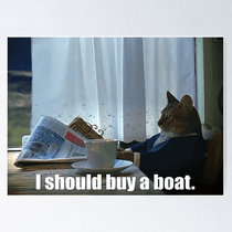 The Boat-Home Cat