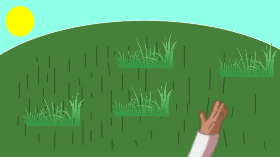 Touch Grass Simulator