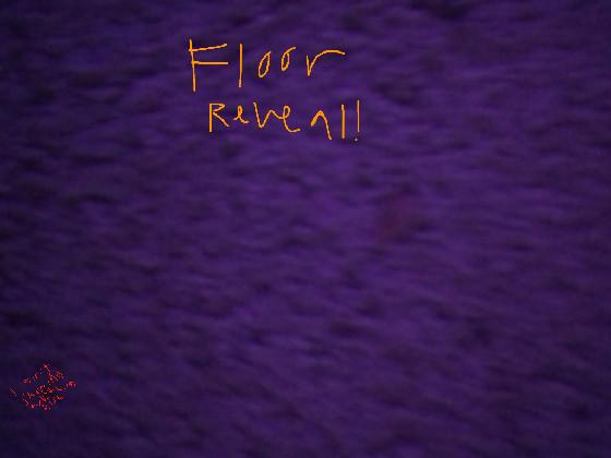 floor reveal lol