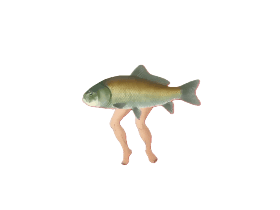 fish