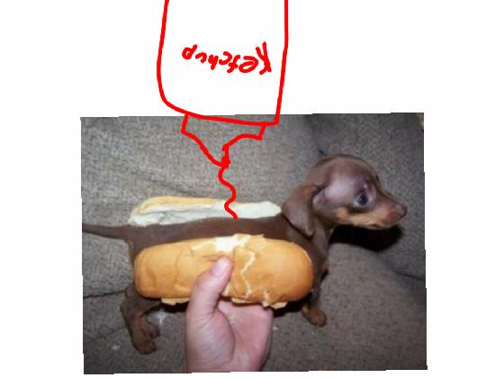 Hot dog