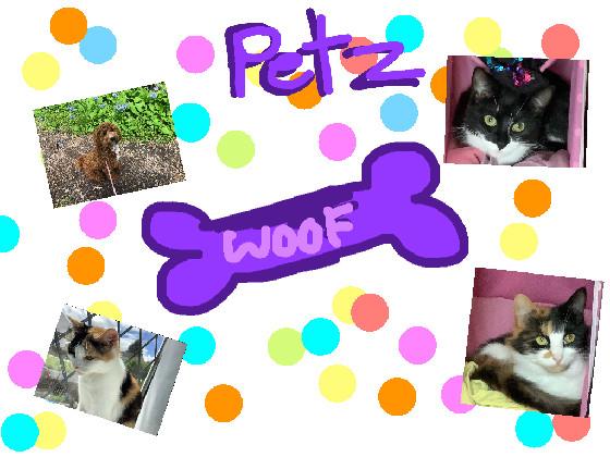 re:PETZ