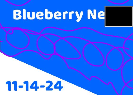 BlueberryNews 11-14-24