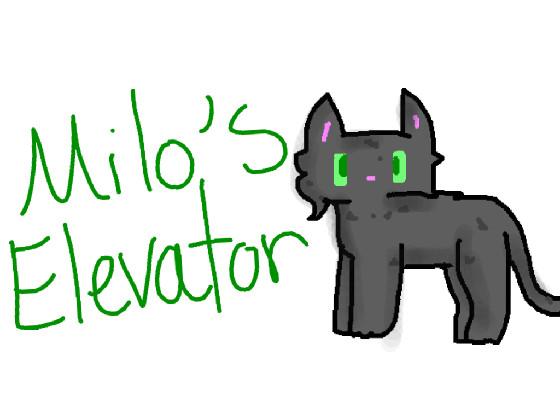 - milo’s elevator - 