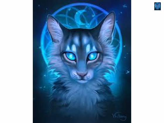 Jayfeather Spin Draw !!