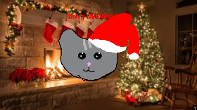 Merry Christmas kitty