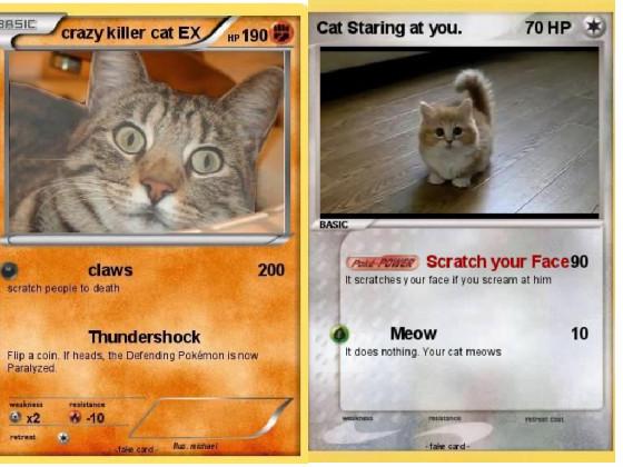 poke cats 3