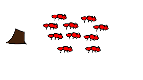 March of the ants!