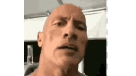 the Rock meme