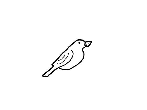 how to draw a bird