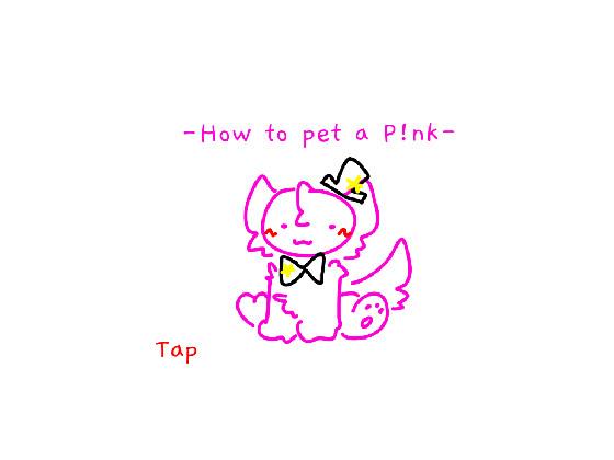 HOW TO PET A P!NK