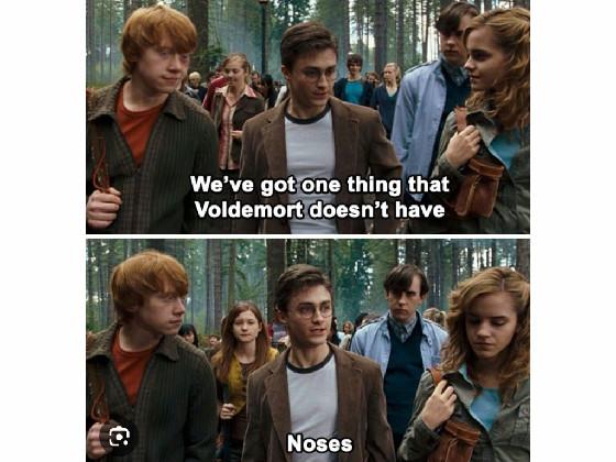 Harry Potter meme