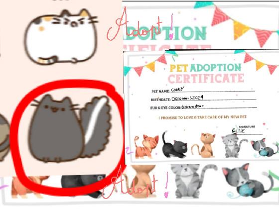 adopt a pusheen 1