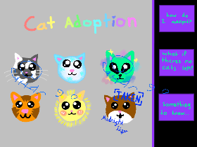 Cat adoption