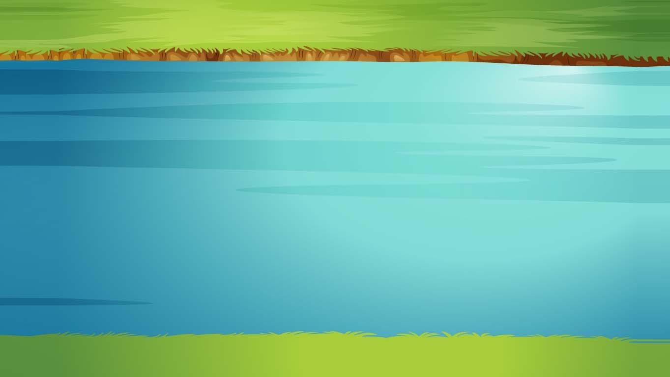 Week 6: Lake Simulator